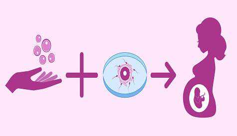 西安助孕公司有哪几家,哪个医院更靠谱